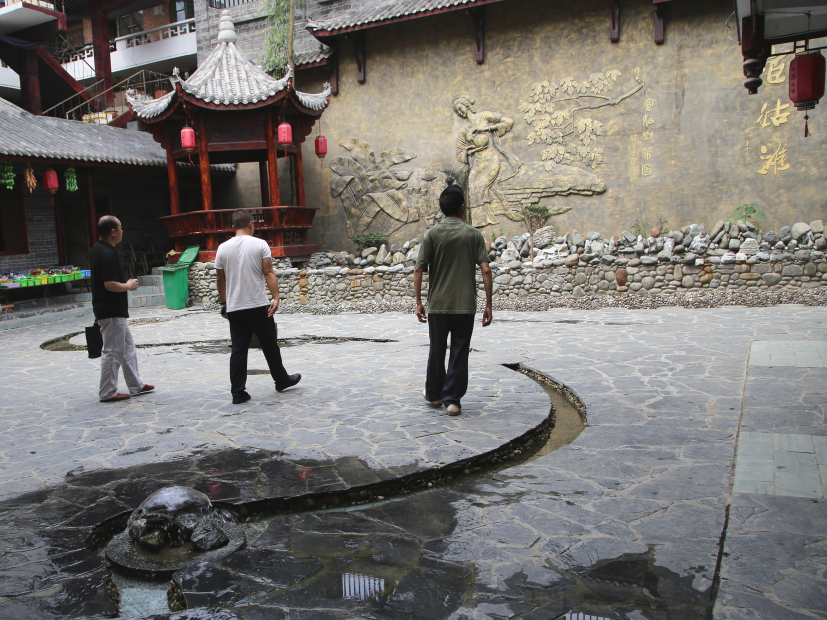 紫阳富硒茶中的焕古茶(紫阳富硒茶文化)-硒宝网