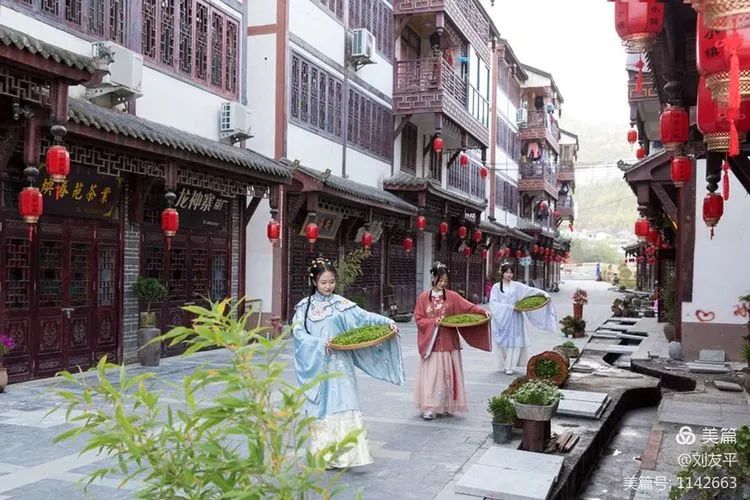 紫阳富硒茶中的焕古茶(紫阳富硒茶文化)-硒宝网