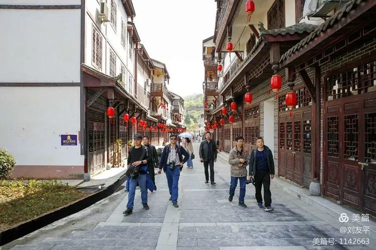 紫阳富硒茶中的焕古茶(紫阳富硒茶文化)-硒宝网