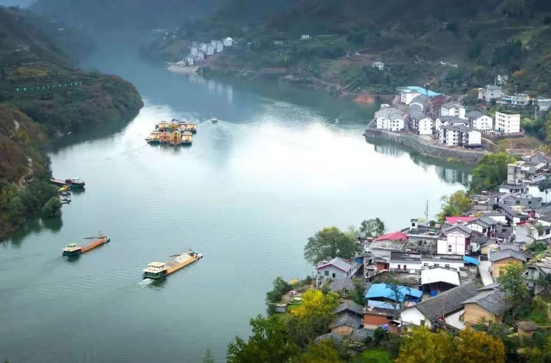 紫阳富硒茶中的焕古茶(紫阳富硒茶文化)-硒宝网