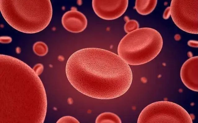 儿童补铁哪个牌子好(牌子儿童好补铁的有哪些)-硒宝网