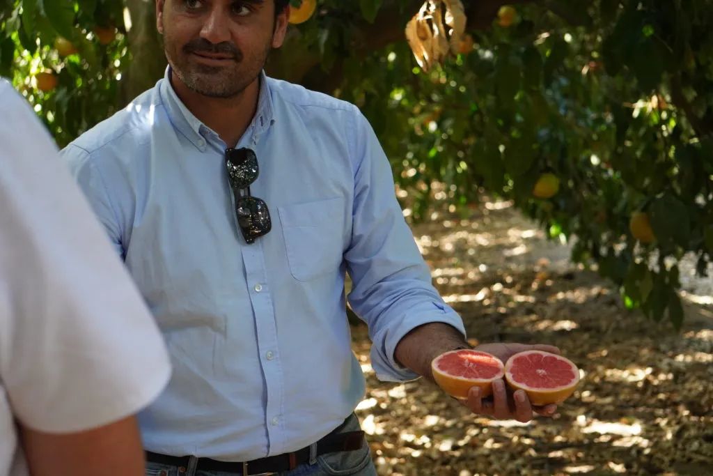 儿童补铁哪个牌子好(牌子儿童好补铁的有哪些)-硒宝网