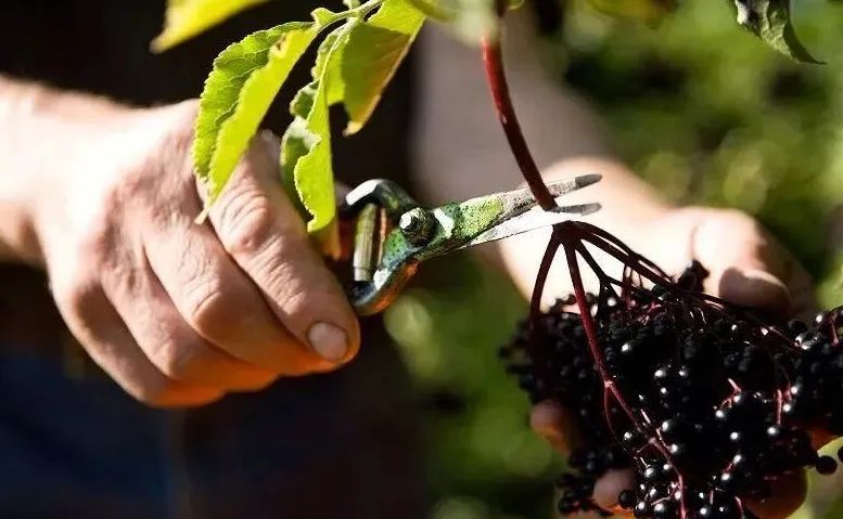 儿童补铁哪个牌子好(牌子儿童好补铁的有哪些)-硒宝网