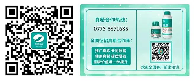 富硒茶是哪些植物做的(富硒茶中的硒指什么)-硒宝网