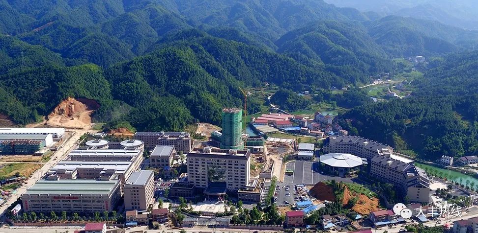 华莱健黑茶是富硒茶吗（华莱健黑茶的价值与远景）-硒宝网