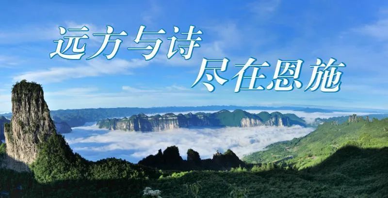 富硒青茶关键生产技术(关键生产富硒技术青茶的企业)-硒宝网