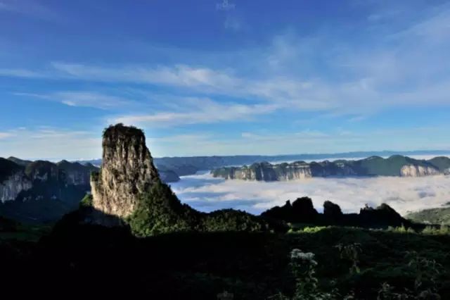 恩施富硒茶可以冷泡吗(恩施富硒茶用多少度水)-硒宝网