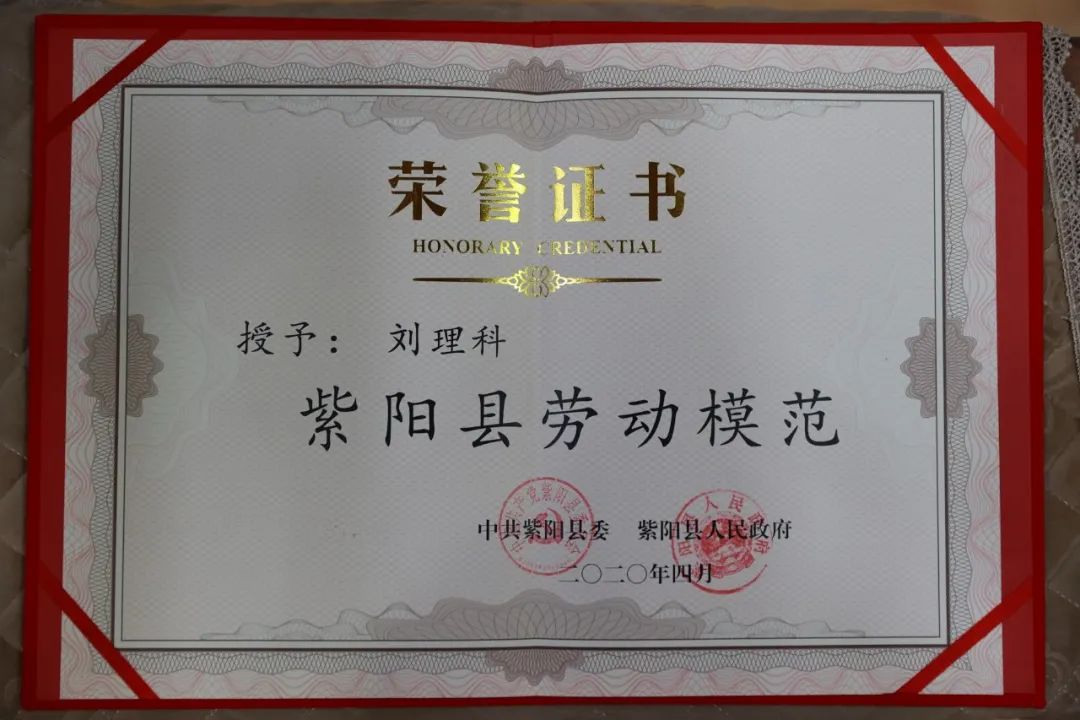 富硒青茶关键生产技术(富硒茶产业)-硒宝网