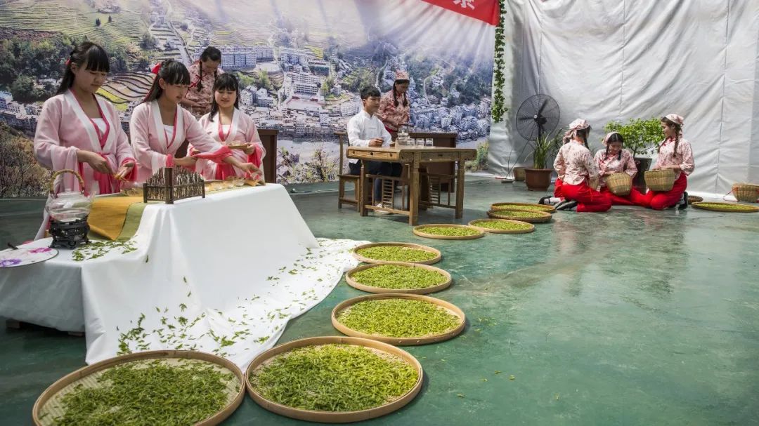 富硒青茶关键生产技术(富硒茶产业)-硒宝网