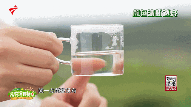 肝不好能喝富硒茶绿茶(绿茶和肝脏)-硒宝网