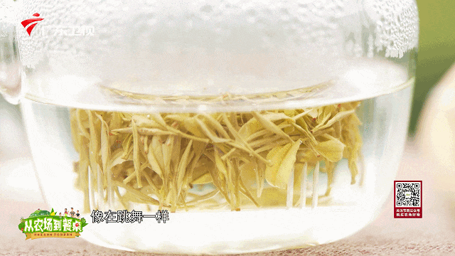 肝不好能喝富硒茶绿茶(绿茶和肝脏)-硒宝网