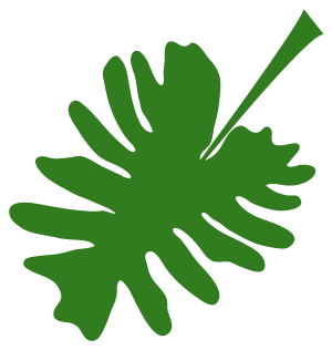 几个月开始补铁（补铁之后会怎么样）-硒宝网