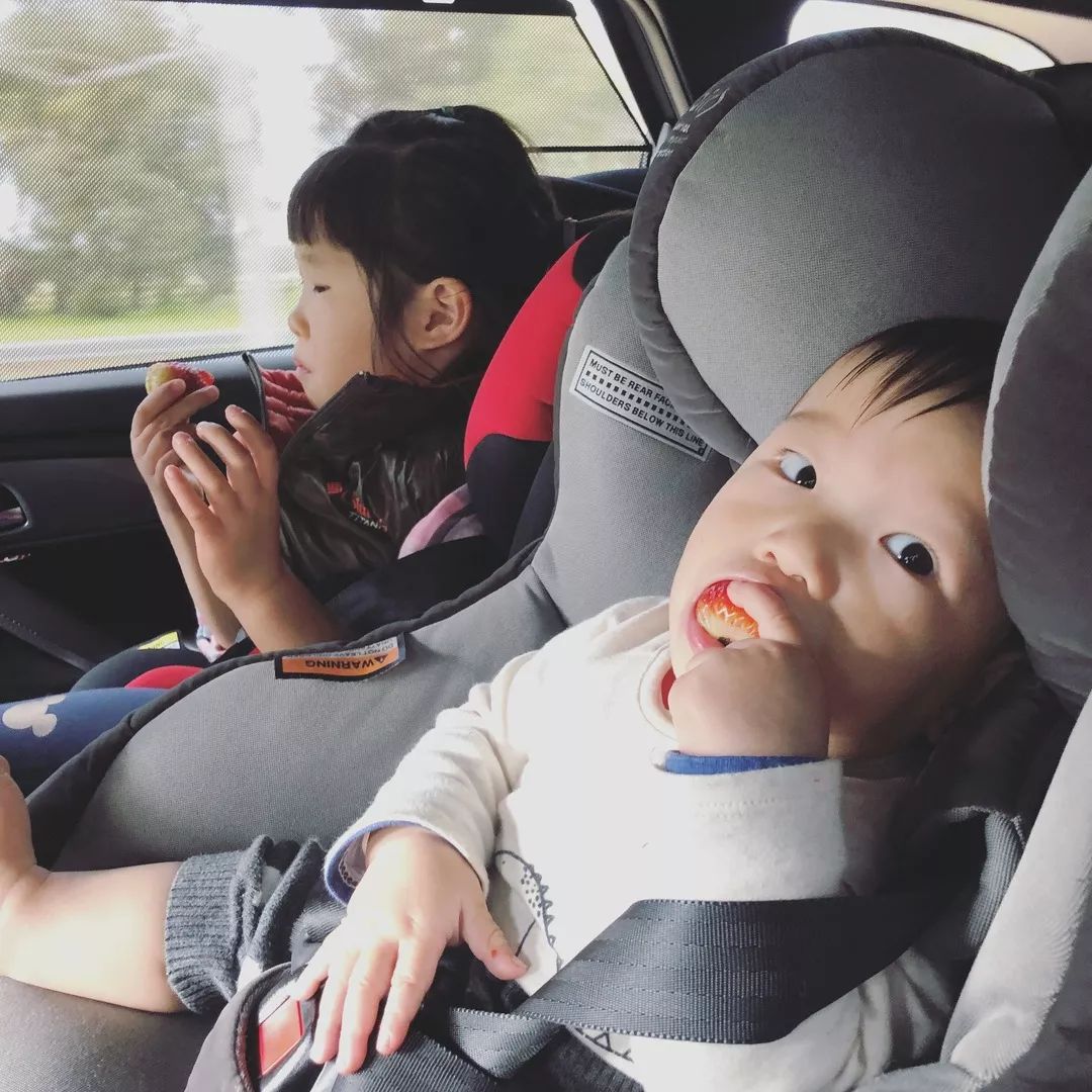 几个月开始补铁（补铁之后会怎么样）-硒宝网