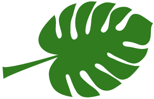 几个月开始补铁（补铁之后会怎么样）-硒宝网