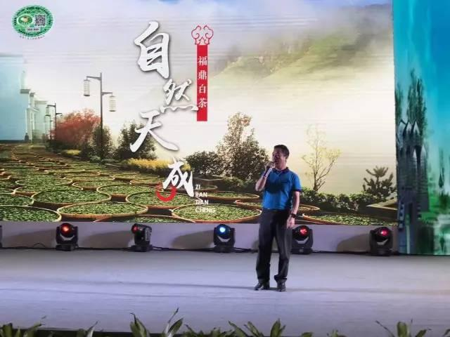 富硒茶博览会活动策划（富硒茶营销策划方案）-硒宝网