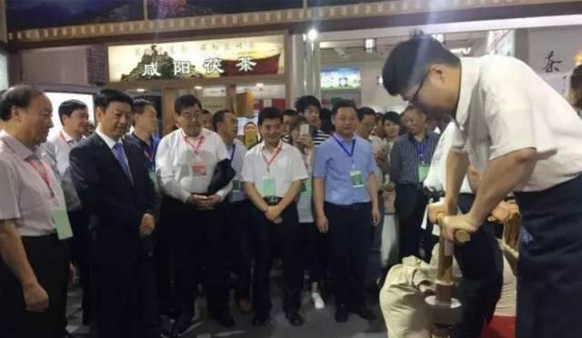 富硒茶博览会活动策划（富硒茶营销策划方案）-硒宝网