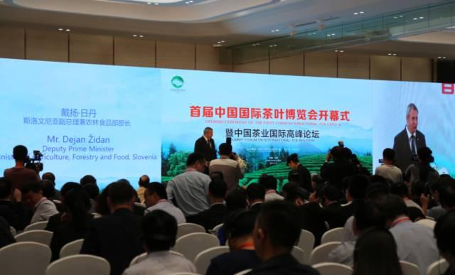 富硒茶博览会活动策划（富硒茶营销策划方案）-硒宝网