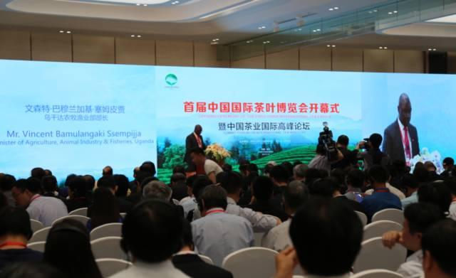 富硒茶博览会活动策划（富硒茶营销策划方案）-硒宝网