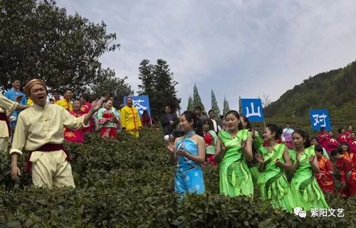 紫阳富硒茶新茶多少钱(紫阳富硒茶100克价格表)-硒宝网