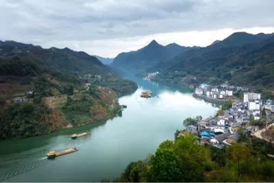 紫阳富硒茶新茶多少钱(紫阳富硒茶100克价格表)-硒宝网