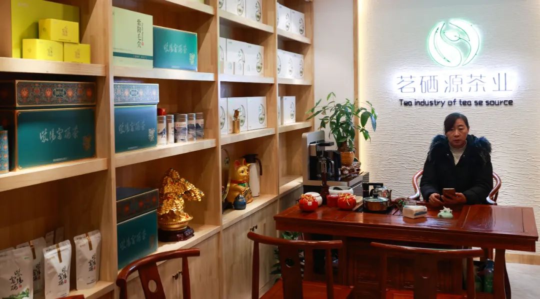 紫阳富硒茶新茶多少钱（紫阳富硒茶茶树）-硒宝网