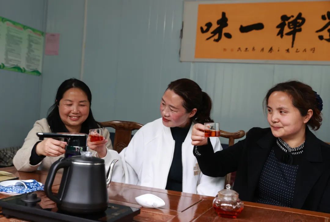 紫阳富硒茶新茶多少钱（紫阳富硒茶茶树）-硒宝网