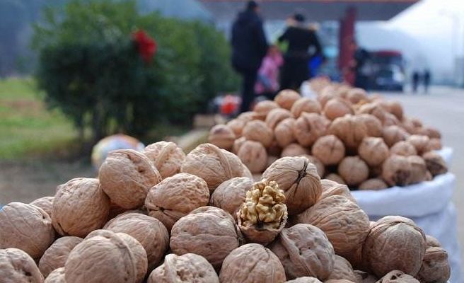 紫阳富硒茶给您拜年啦（紫阳富硒茶文化）-硒宝网