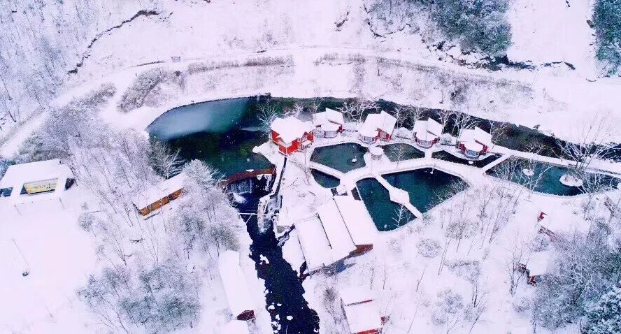 紫阳富硒茶给您拜年啦（紫阳富硒茶文化）-硒宝网