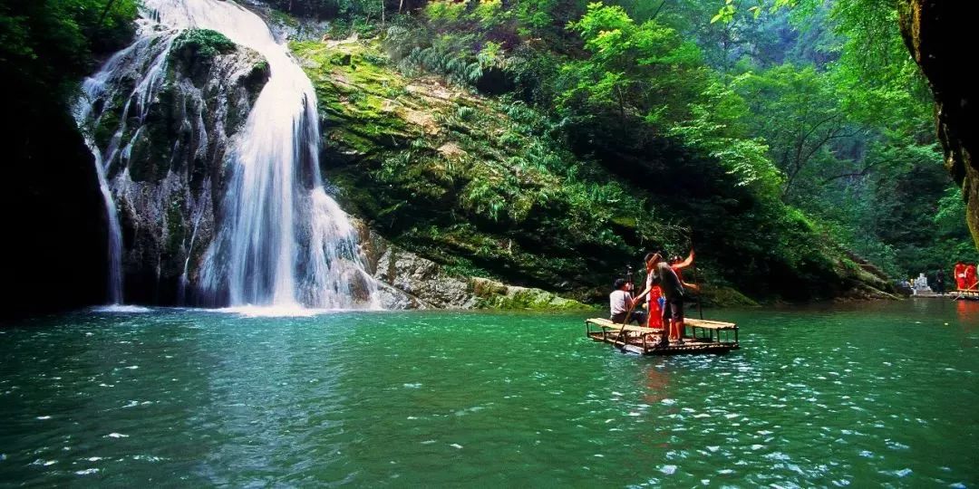 紫阳富硒茶给您拜年啦（紫阳富硒茶文化）-硒宝网