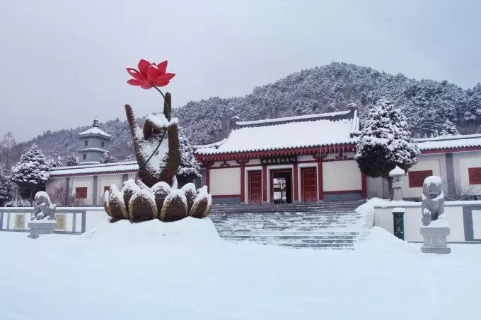 紫阳富硒茶给您拜年啦（紫阳富硒茶文化）-硒宝网
