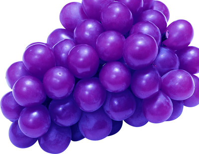 富硒茶的喝法减肥食谱(茶减肥茶)-硒宝网