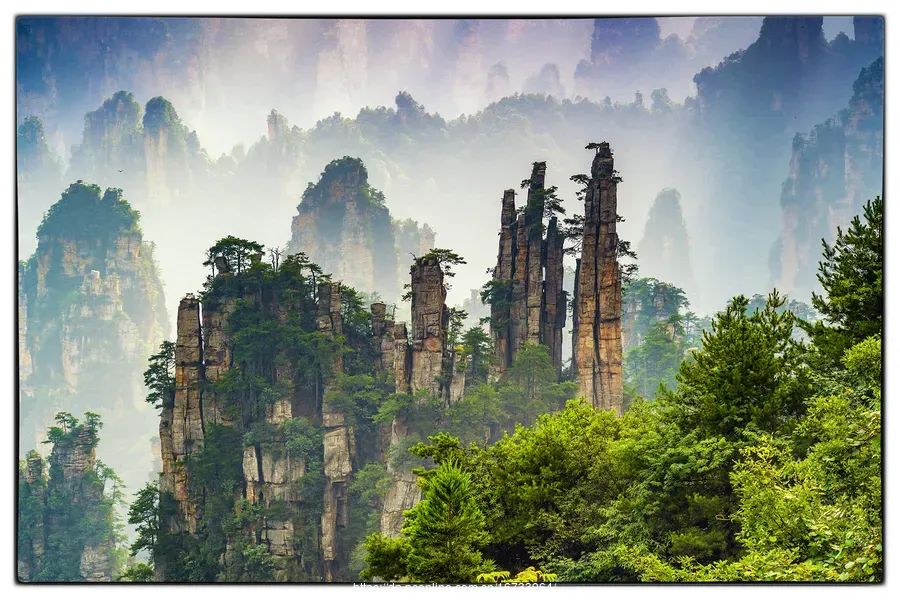 恩施富硒茶价格表湖北（湖北恩施茶叶价格表）-硒宝网