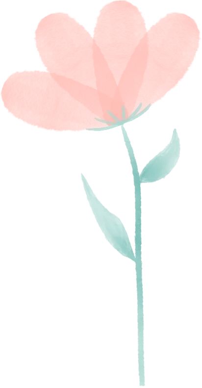 恩施富硒茶价格表湖北（湖北恩施茶叶价格表）-硒宝网