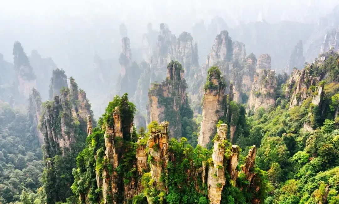 恩施富硒茶价格表湖北（湖北恩施茶叶价格表）-硒宝网