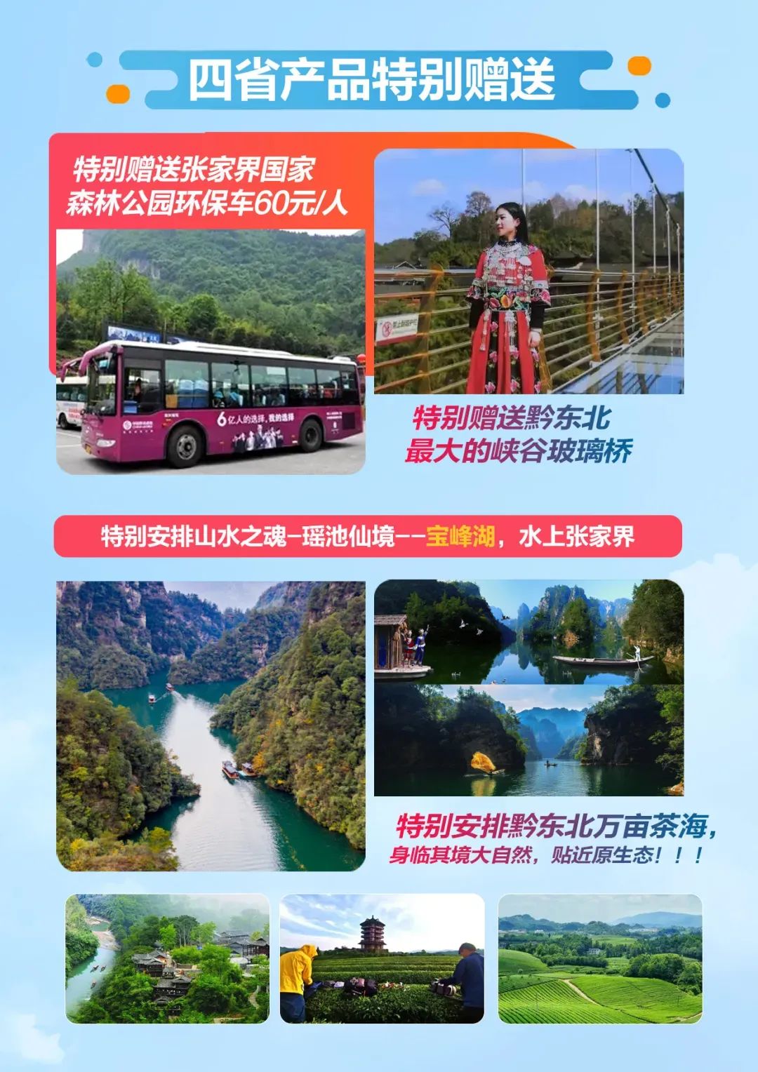 恩施富硒茶价格表湖北（湖北恩施茶叶价格表）-硒宝网