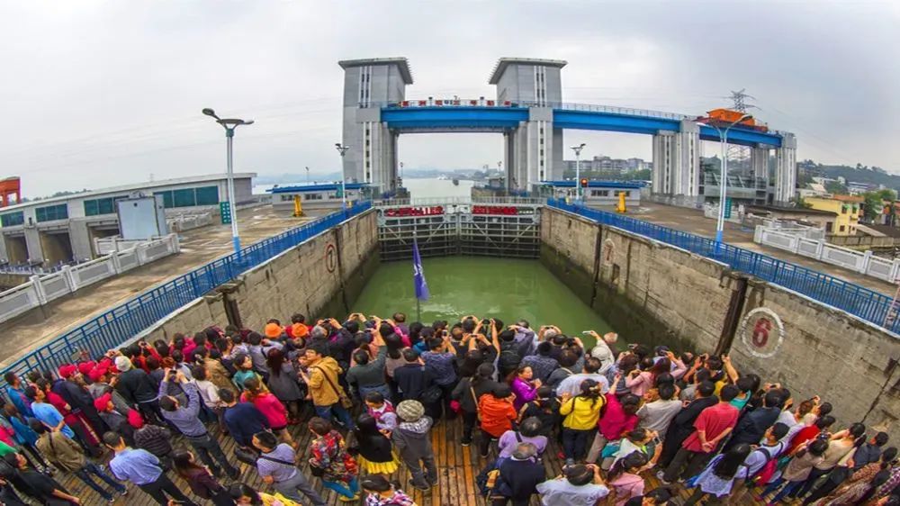 恩施富硒茶价格表湖北（湖北恩施茶叶价格表）-硒宝网