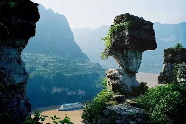 恩施富硒茶价格表湖北（湖北恩施茶叶价格表）-硒宝网