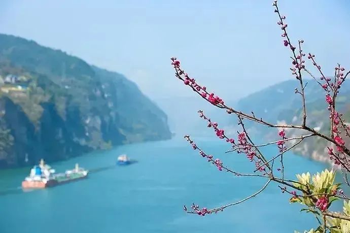 恩施富硒茶价格表湖北（湖北恩施茶叶价格表）-硒宝网