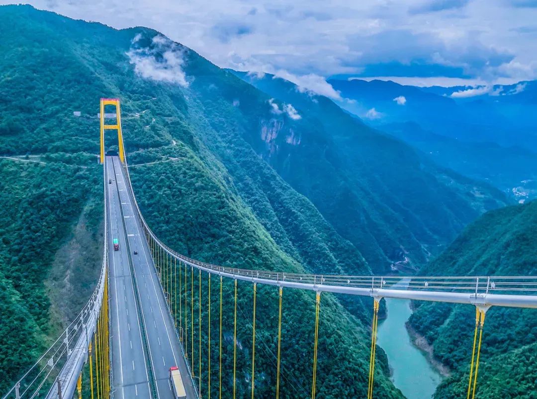 恩施富硒茶价格表湖北（湖北恩施茶叶价格表）-硒宝网