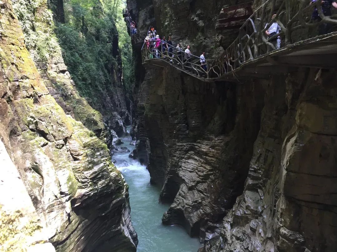 恩施富硒茶价格表湖北（湖北恩施茶叶价格表）-硒宝网