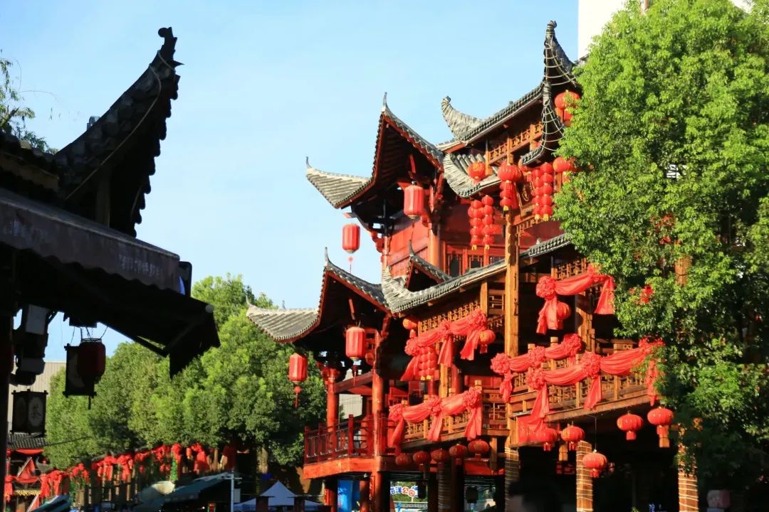 恩施富硒茶价格表湖北（湖北恩施茶叶价格表）-硒宝网