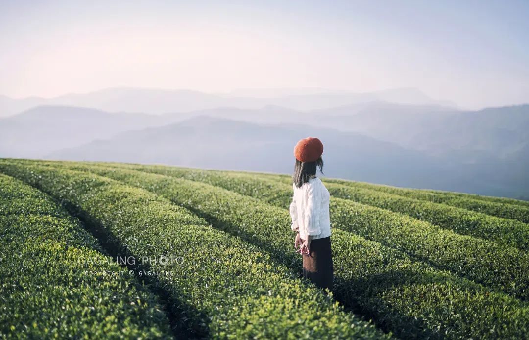 恩施富硒茶价格表湖北（湖北恩施茶叶价格表）-硒宝网