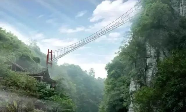 恩施富硒茶价格表湖北（湖北恩施茶叶价格表）-硒宝网