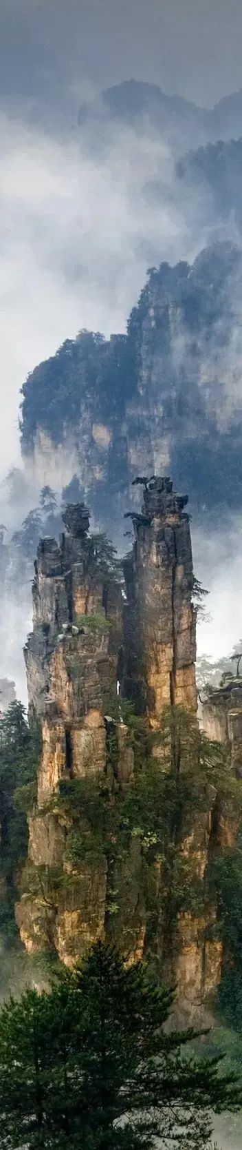 恩施富硒茶价格表湖北（湖北恩施茶叶价格表）-硒宝网