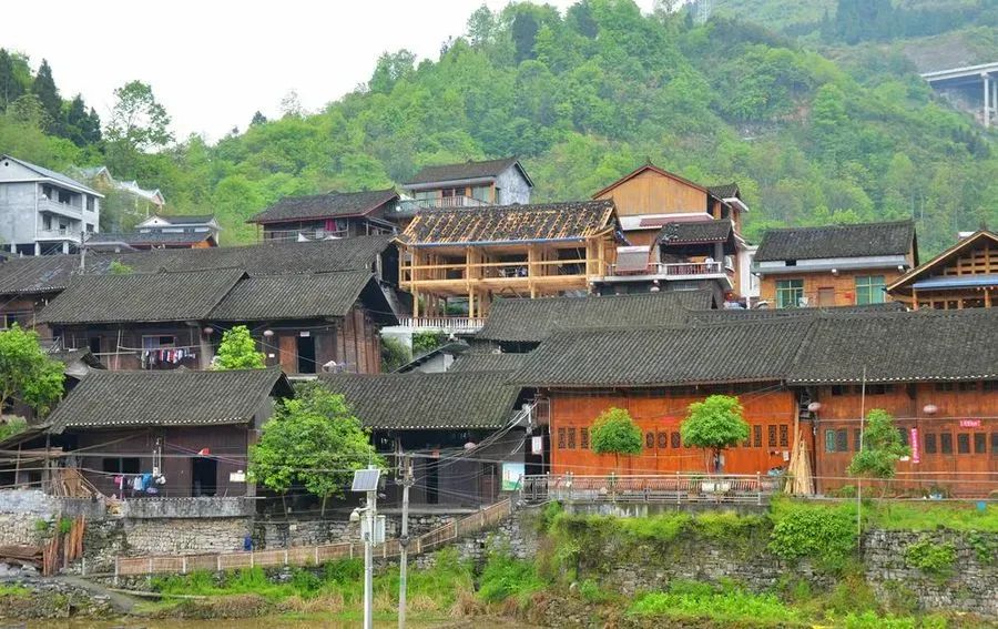 恩施富硒茶价格表湖北（湖北恩施茶叶价格表）-硒宝网