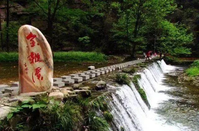 恩施富硒茶价格表湖北（湖北恩施茶叶价格表）-硒宝网