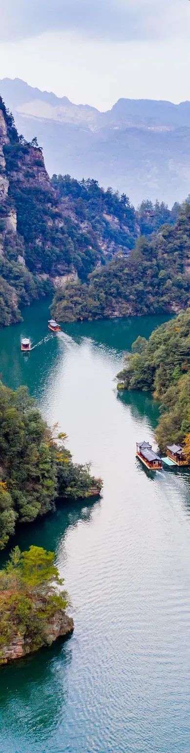 恩施富硒茶价格表湖北（湖北恩施茶叶价格表）-硒宝网