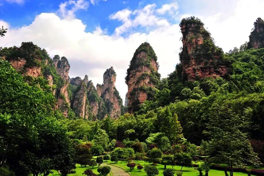 恩施富硒茶价格表湖北（湖北恩施茶叶价格表）-硒宝网