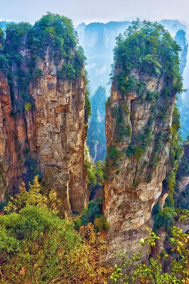 恩施富硒茶价格表湖北（湖北恩施茶叶价格表）-硒宝网