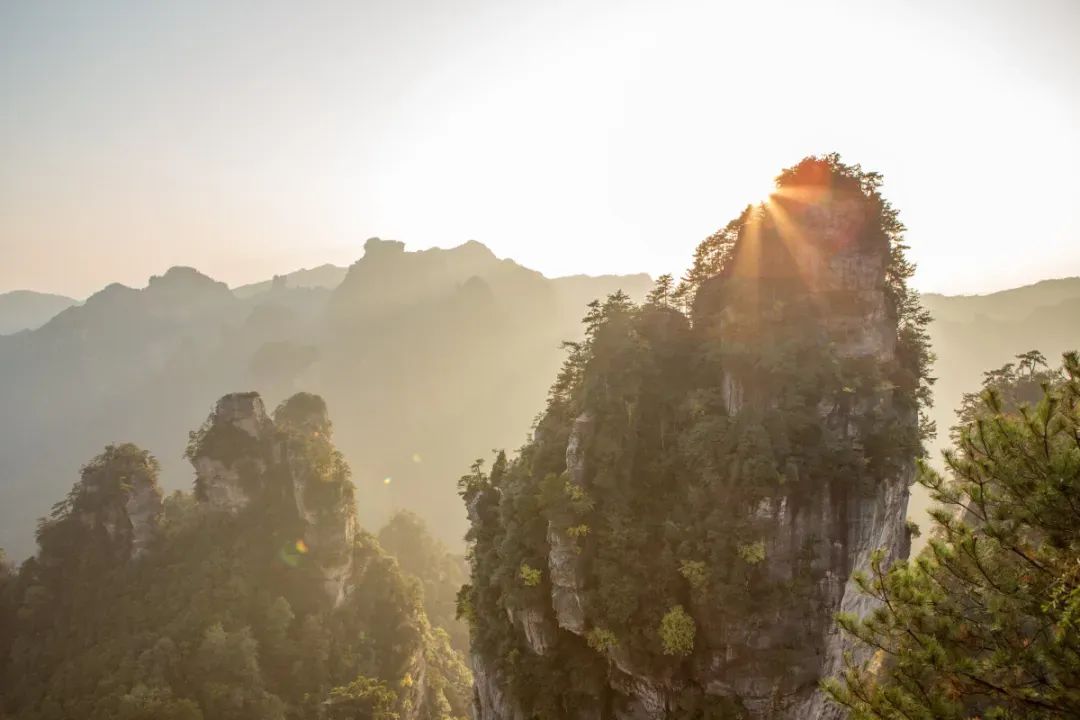 恩施富硒茶价格表湖北（湖北恩施茶叶价格表）-硒宝网